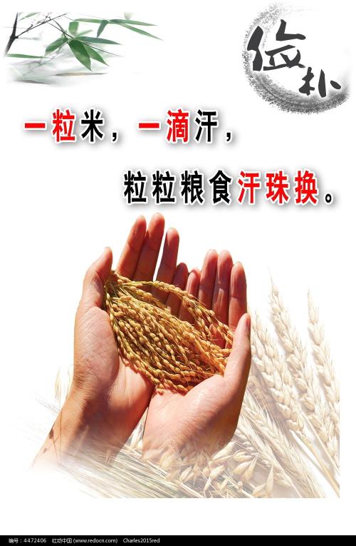 多米尼加大学硕士offer